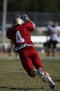 开云体育官网-国米力克多特蒙德，格列兹曼补时绝平法甲：一场震撼全场的足球盛宴